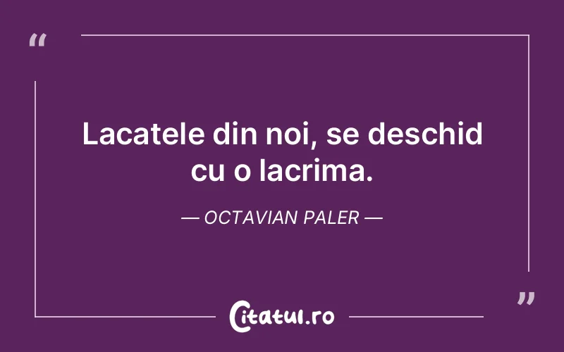 Citat Octavian Paler - citate triste