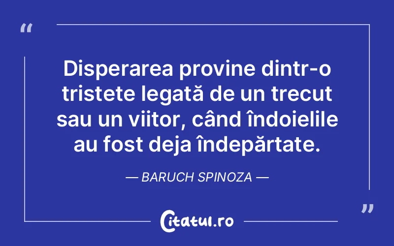 Citat Baruch Spinoza - citate triste