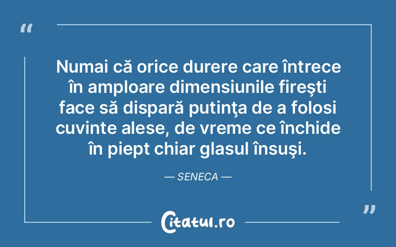 Citat Seneca - citate triste