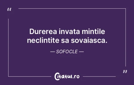 Durerea invata mintile neclintite sa sov... Durerea invata mintile neclintite sa sov...