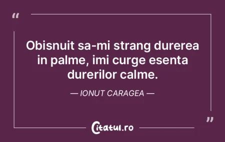 Obisnuit sa-mi strang durerea in palme, ... Obisnuit sa-mi strang durerea in palme, ...