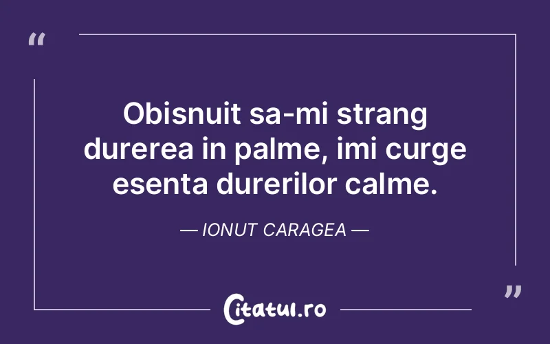 Citat Ionut Caragea - citate triste