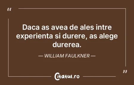 Daca as avea de ales intre experienta si...