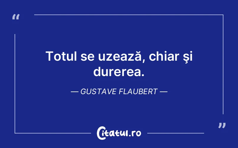 Citat Gustave Flaubert - citate triste