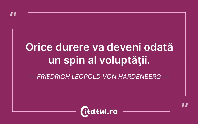 Citat Friedrich Leopold Von Hardenberg - citate triste
