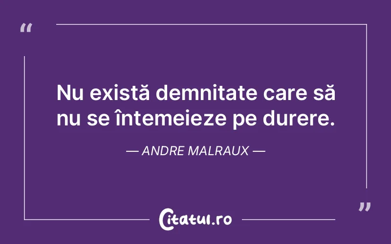 Citat Andre Malraux - citate triste