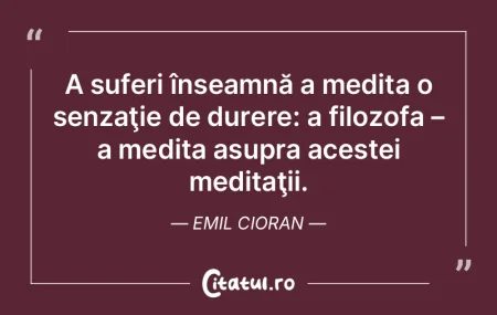 A suferi înseamnă a medita o senzaţie... A suferi înseamnă a medita o senzaţie...