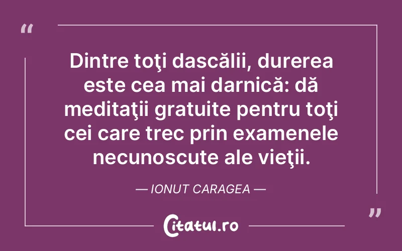 Citat Ionut Caragea - citate triste