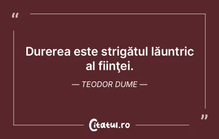 Durerea este strigătul lăuntric al fii...