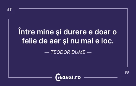 Între mine şi durere e doar o felie de... Între mine şi durere e doar o felie de...