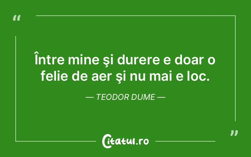 Citat Teodor Dume - citate triste
