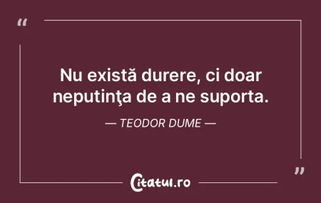 Nu există durere, ci doar neputinţa de... Nu există durere, ci doar neputinţa de...
