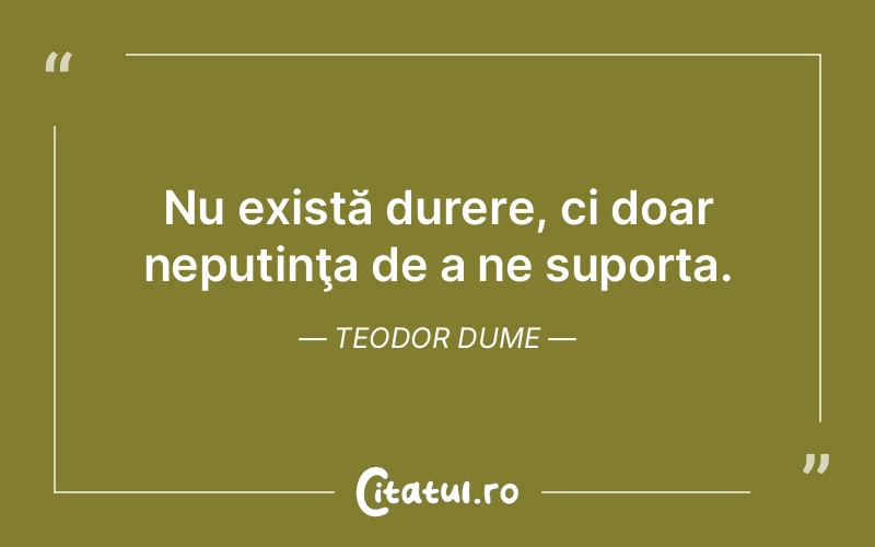 Citat Teodor Dume - citate triste