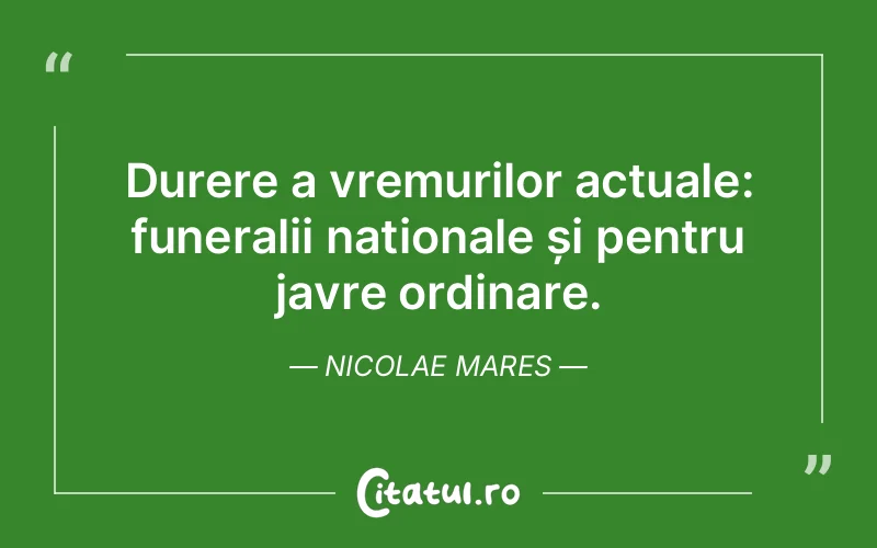 Citat Nicolae Mares - citate triste