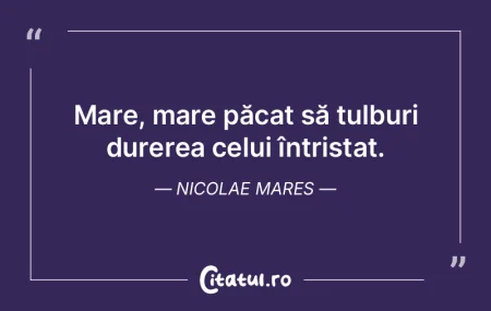 Mare, mare păcat să tulburi durerea ce... Mare, mare păcat să tulburi durerea ce...