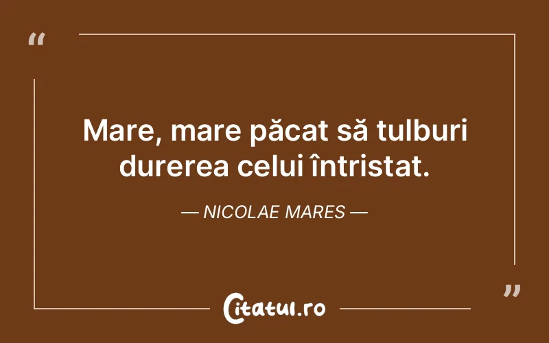 Citat Nicolae Mares - citate triste