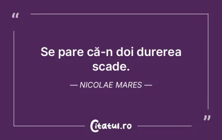 Se pare că-n doi durerea scade. Nicolae... Se pare că-n doi durerea scade. Nicolae...
