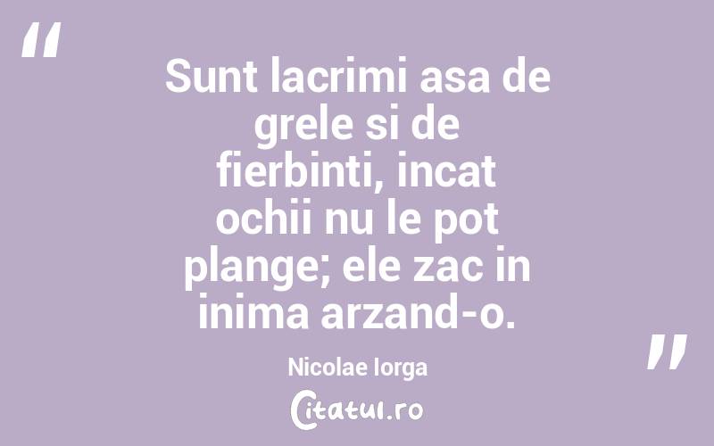 Sunt lacrimi asa de grele si de fierbinti, incat ochii nu le pot plange; ele zac in inima arzand-o. Nicolae Iorga