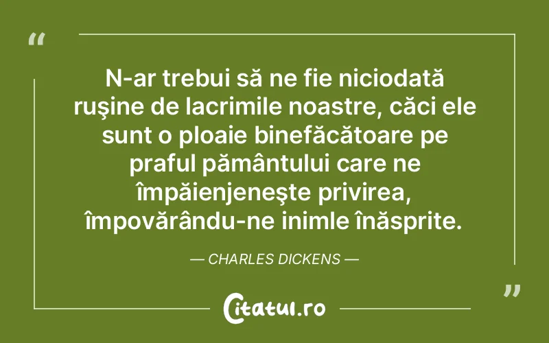 Citat Autor necunoscut - citate triste