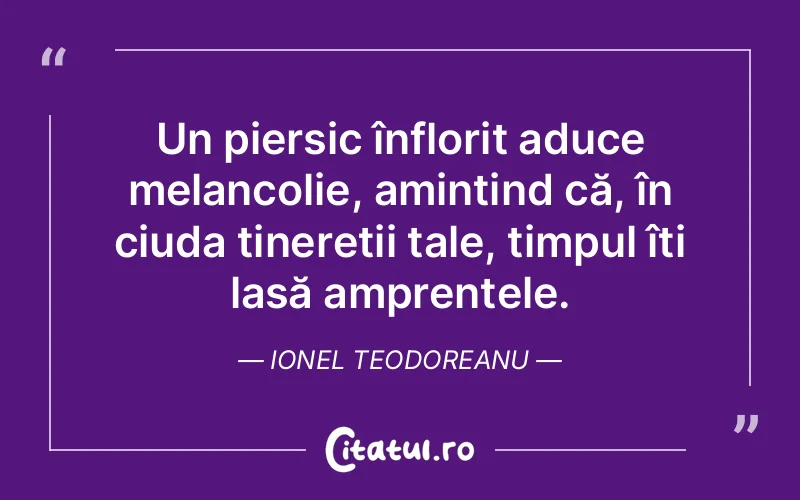 Citat Ionel Teodoreanu - citate triste