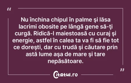 Nu închina chipul în palme şi lăsa l...