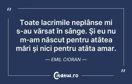 Toate lacrimile neplânse mi s-au vărsa... Toate lacrimile neplânse mi s-au vărsa...