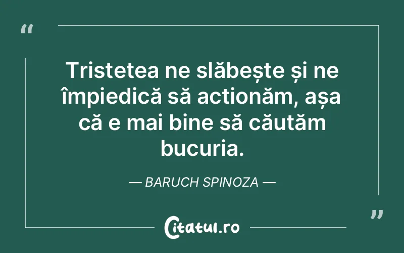 Citat Baruch Spinoza - citate triste