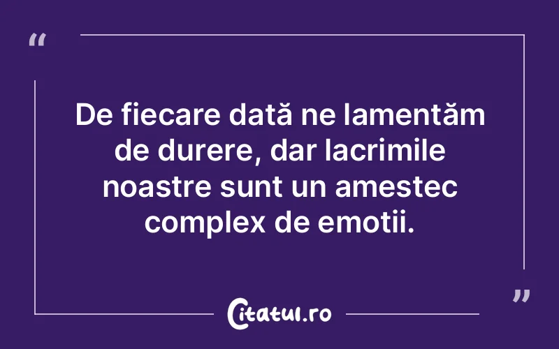 Citat Autor necunoscut - citate triste