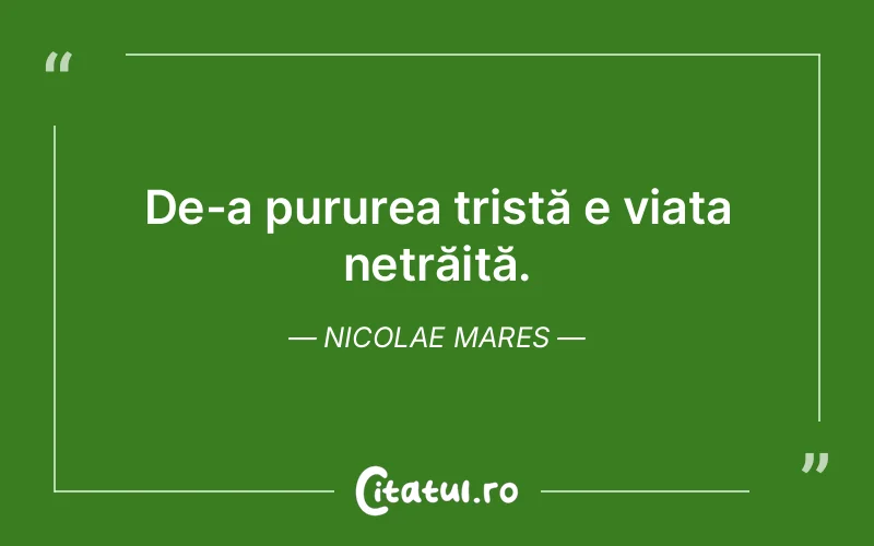Citat Nicolae Mares - citate triste