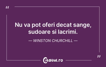 Nu va pot oferi decat sange, sudoare si ...