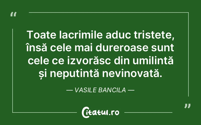 Citat Vasile Bancila - citate triste