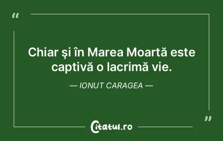 Chiar ÅŸi în Marea Moartă este captivÄ... Chiar ÅŸi în Marea Moartă este captivÄ...