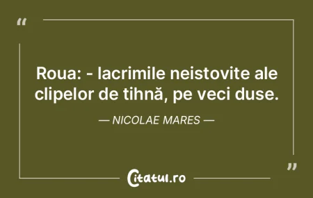 Roua: - lacrimile neistovite ale clipelo... Roua: - lacrimile neistovite ale clipelo...