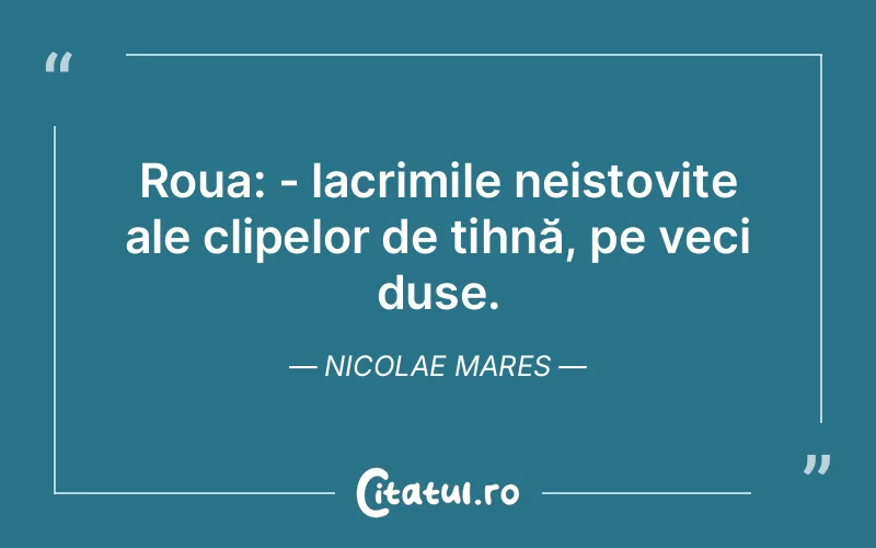 Citat Nicolae Mares - citate triste