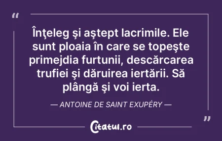 Înţeleg şi aştept lacrimile. Ele sun... Înţeleg şi aştept lacrimile. Ele sun...