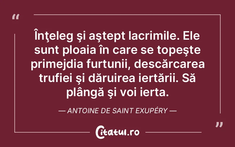 Citat Autor necunoscut - citate triste