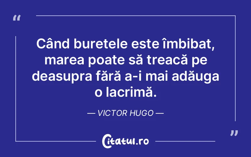 Citat Victor Hugo - citate triste