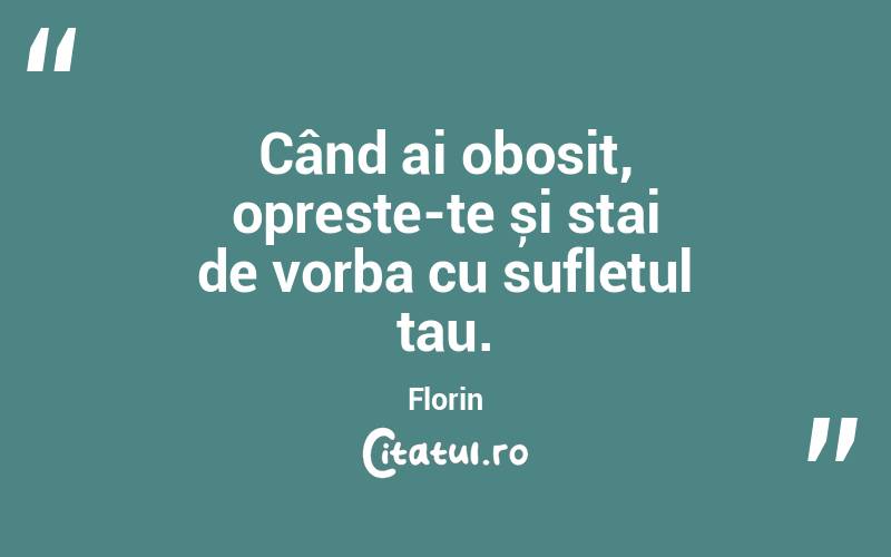 Când ai obosit, opreste-te și stai de vorba cu sufletul tau. Florin