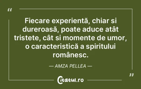 Fiecare experiență, chiar și dureroas... Fiecare experiență, chiar și dureroas...