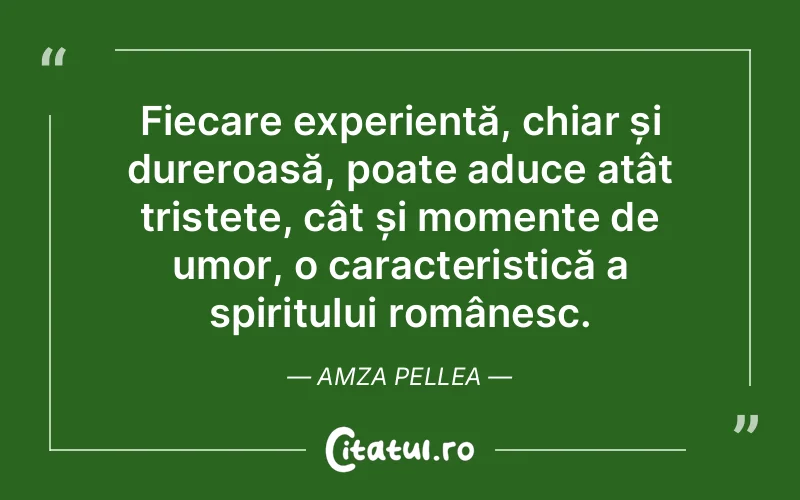 Citat Amza Pellea - citate triste