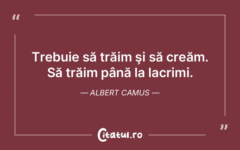 Citat Albert Camus - citate triste