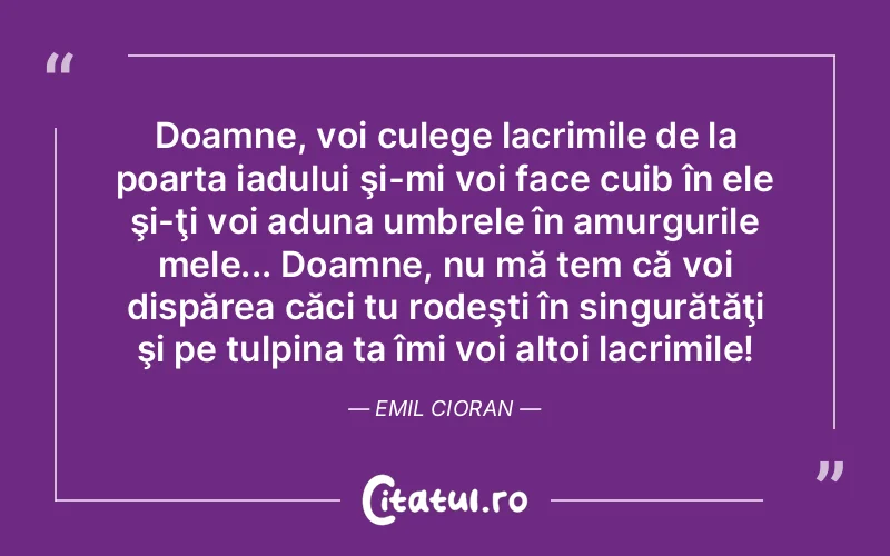 Citat Autor necunoscut - citate triste