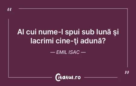 Al cui nume-l spui sub lună şi lacrimi...