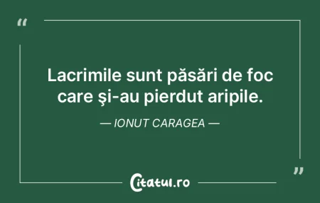 Lacrimile sunt păsări de foc care şi-...