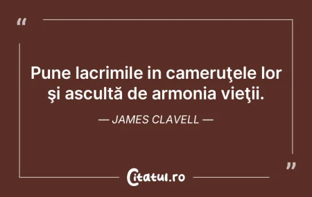 Pune lacrimile in cameruţele lor şi as... Pune lacrimile in cameruţele lor şi as...