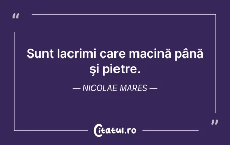 Sunt lacrimi care macină până şi pie... Sunt lacrimi care macină până şi pie...