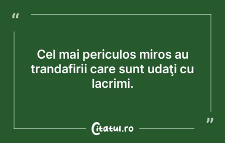 Cel mai periculos miros au trandafirii c... Cel mai periculos miros au trandafirii c...