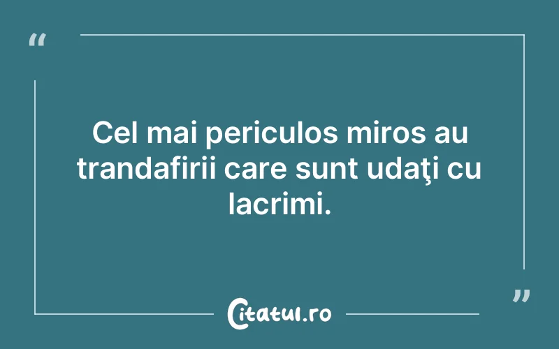 Citat Autor necunoscut - citate triste