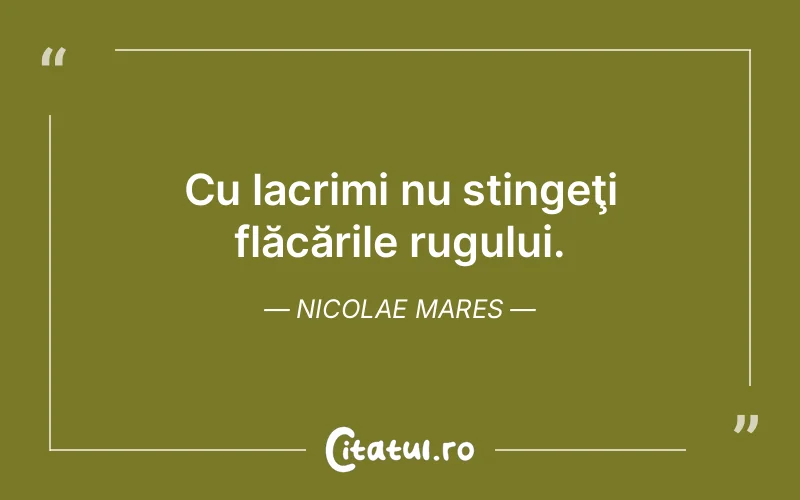 Citat Nicolae Mares - citate triste
