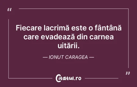 Fiecare lacrimă este o fântână care ... Fiecare lacrimă este o fântână care ...